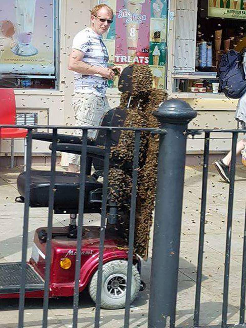 Gewoon een verzameling hilarische foto’s #993