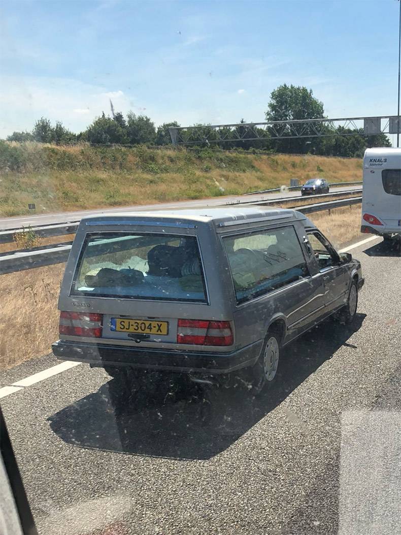 Gewoon een verzameling hilarische foto’s #993